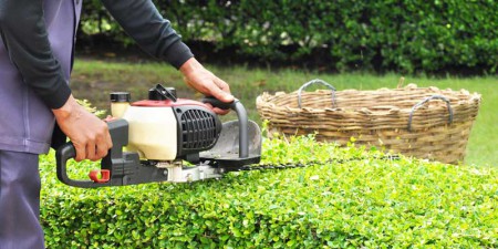 lawn care tuscaloosa for your tuscaloosa area home or business we perform mowing edging weedeating trimming of shrubs and lowhanging branches mulching blowing flower lawn care warrior landscape services lawn care tuscaloosa for your tuscaloosa area home or business we perform mowing edging weedeating trimming of shrubs and lowhanging branches mulching blowing flower lawn care warrior landscape services